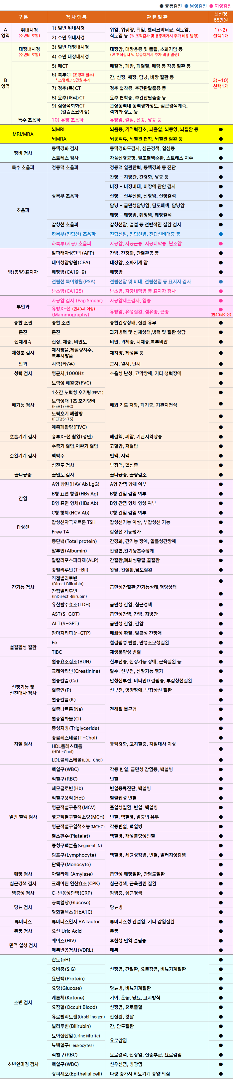 닥터스_뇌신경.png