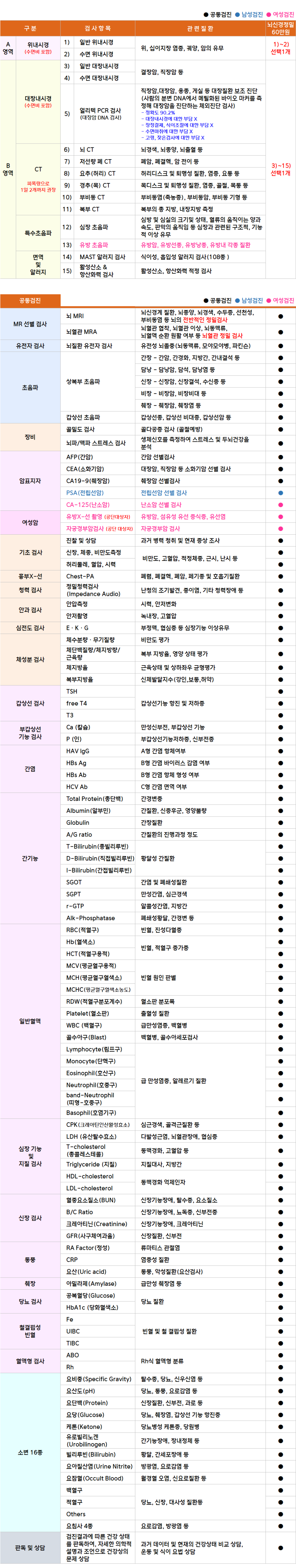 뇌신경.png