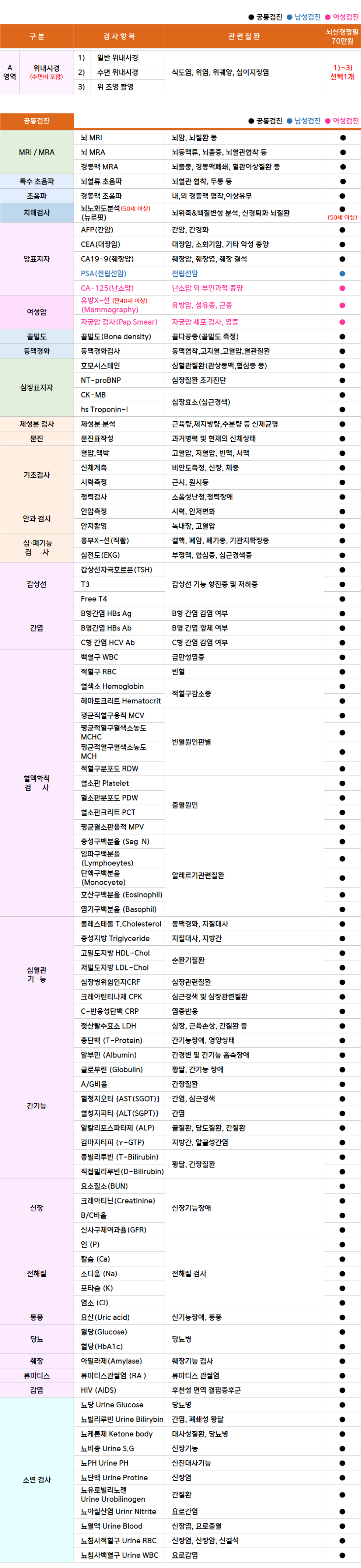 명지_뇌신경.png