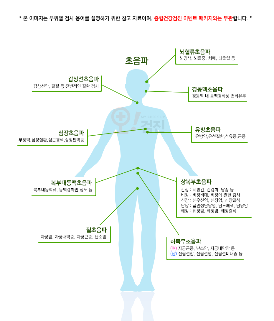 오검진_초음파.png