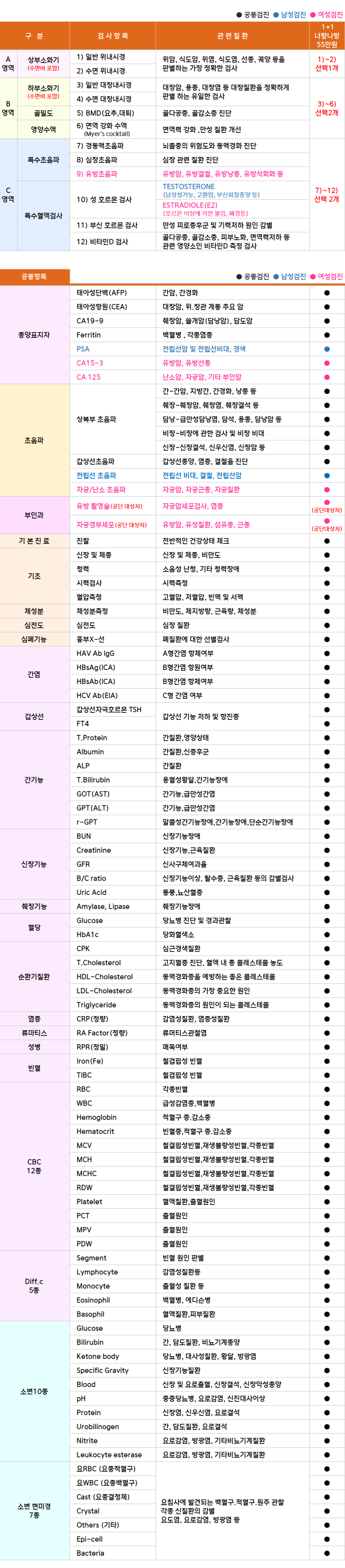 용인_1+1(55).png