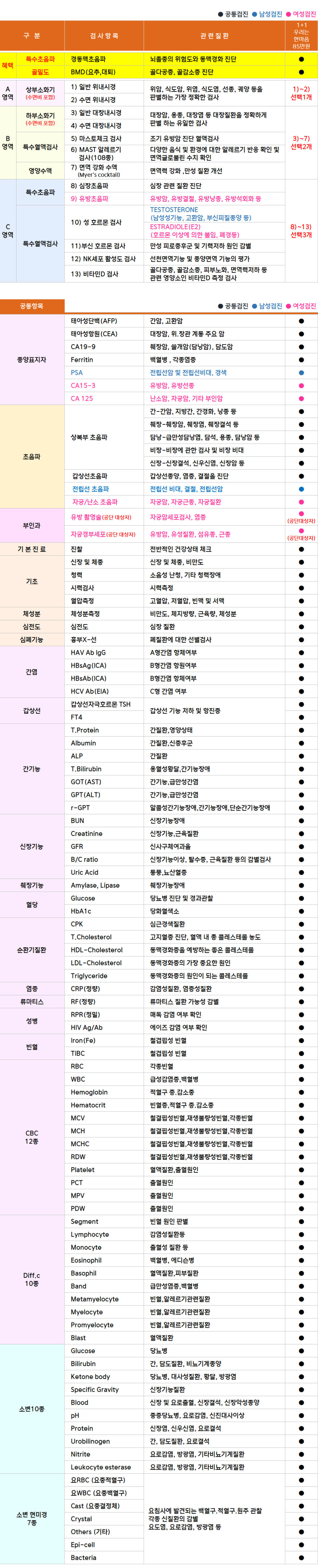 용인_1+1(85).png