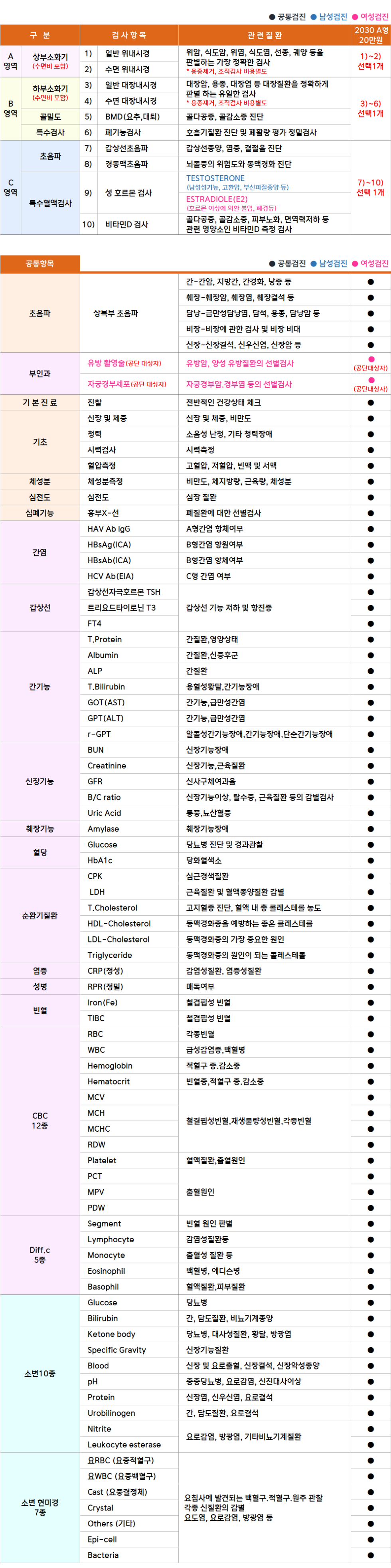 연세추_2030 A형.png