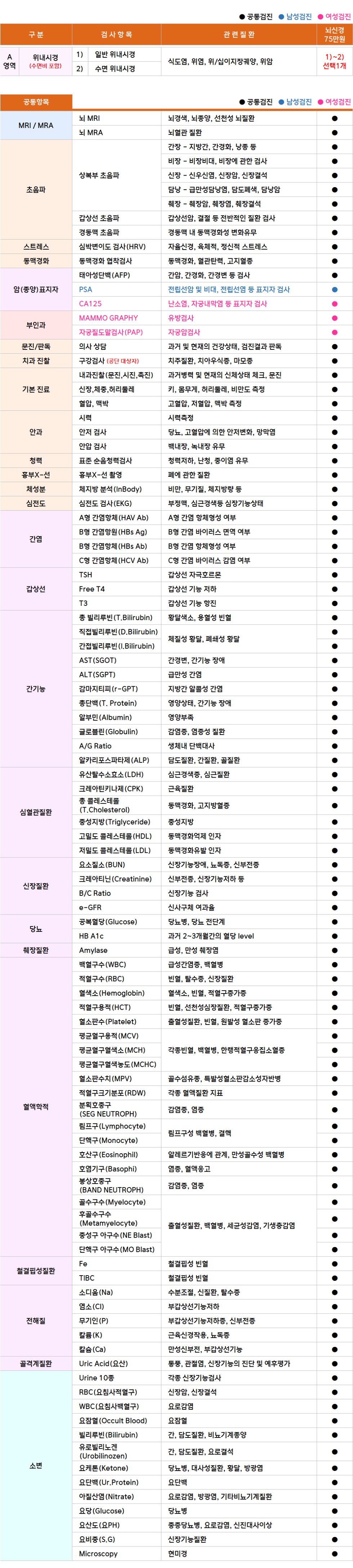 부천_뇌신경.png