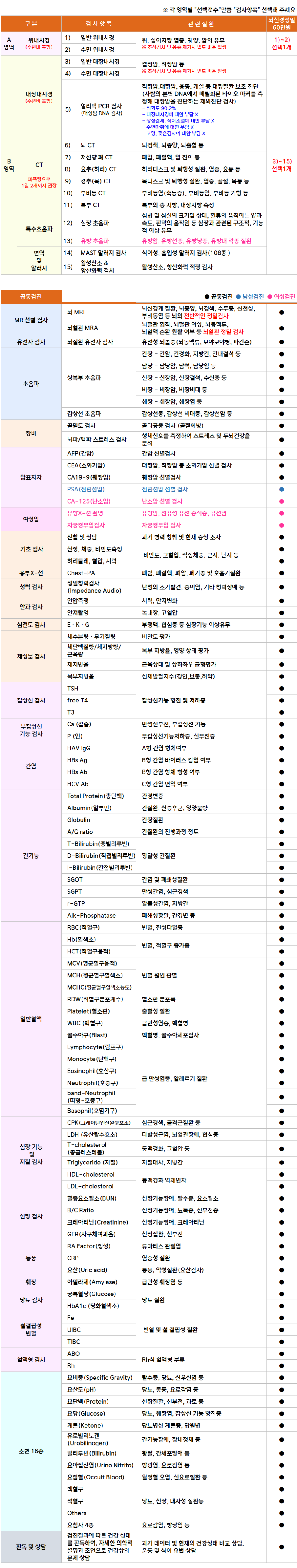 뇌신경정밀.png