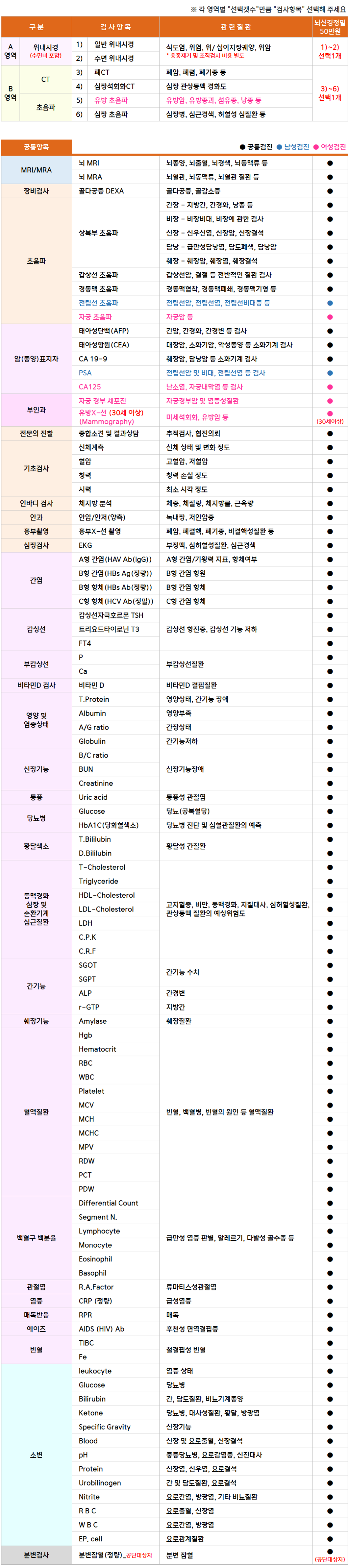 안강_뇌신경.png